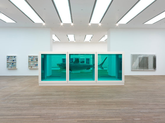 Damien Hirst at Tate Modern, London