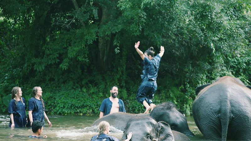 3 Farmstay Startup thailand Dooddot 10