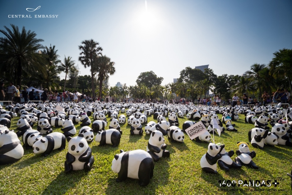 Pandas Flashmob_Lumpini Park04
