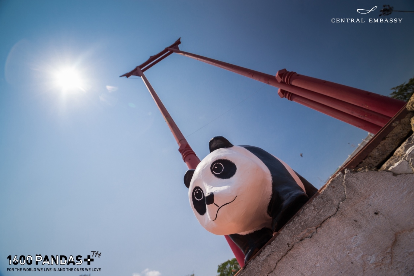 PandasFlashmob Giant Wing01