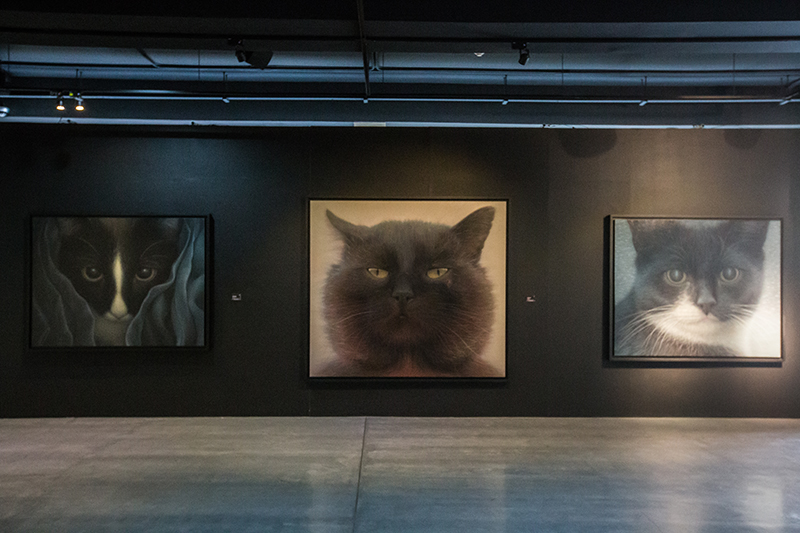 Recap Loser Cat Exhibition by Niam Mawornkanong Subhashok The Arts Centre dooddot 2
