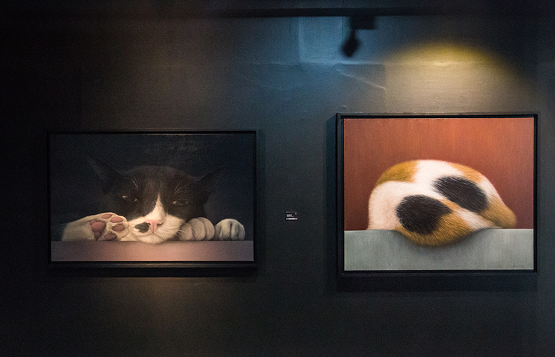 Recap Loser Cat Exhibition by Niam Mawornkanong Subhashok The Arts Centre dooddot 6