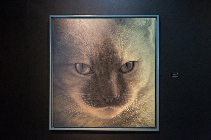 Recap Loser Cat Exhibition by Niam Mawornkanong Subhashok The Arts Centre dooddot 8