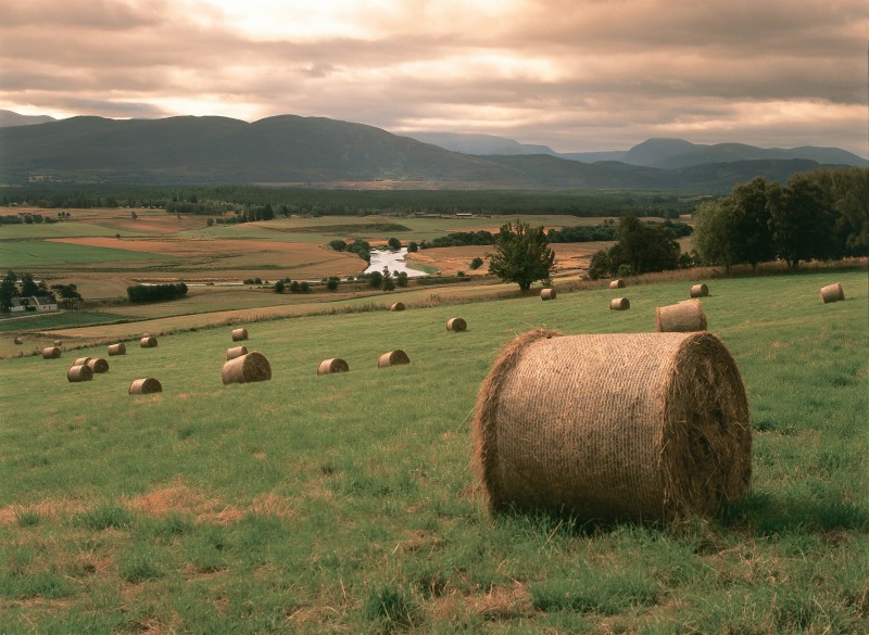 Hay Bales Speyside 102370_resize