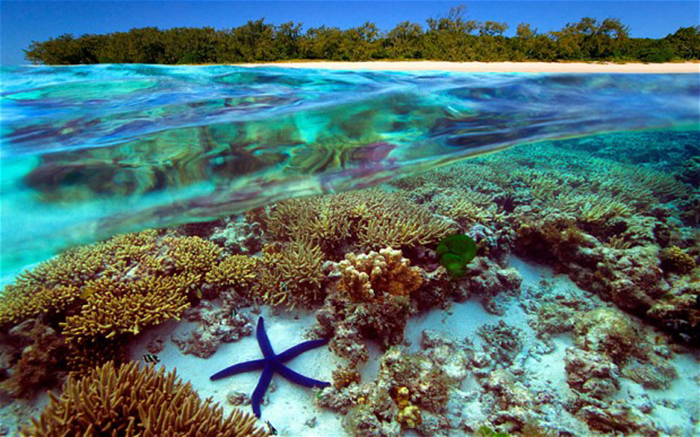 BCBB45 Underwater view of Great Barrier Reef Australia