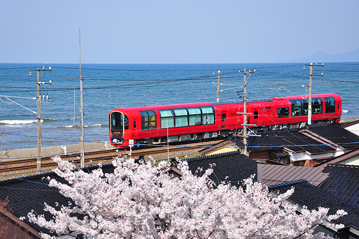 echigo Sightseeing Train Dooddot 2