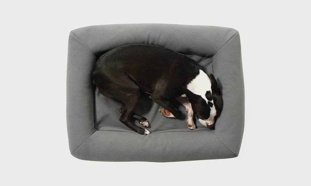 Casper-Dog-Bed-2