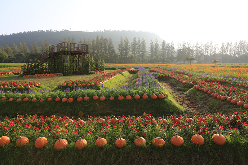 Jim Thompson Farm Tour 2016 Pakoma dooddot 4