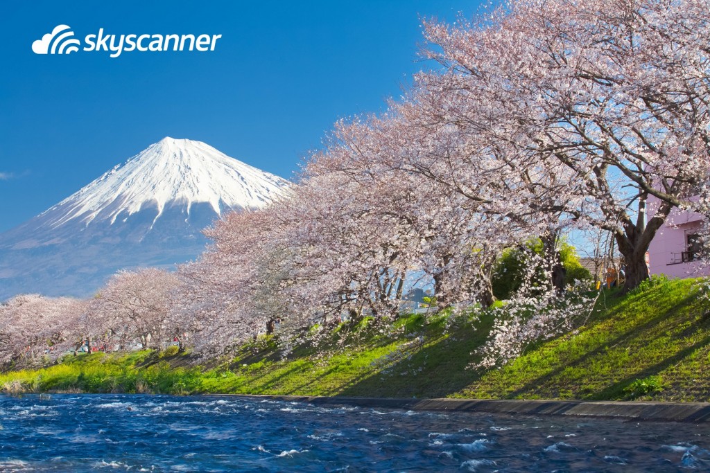 Mountain Fuji