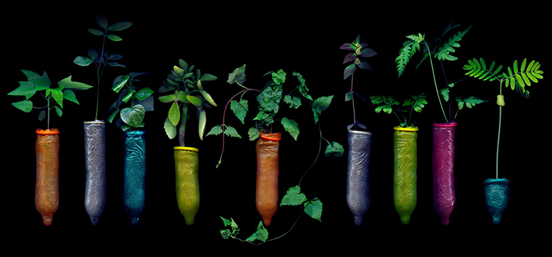 Social Calendar 26 – 30 Apr 2017 dooddot 1