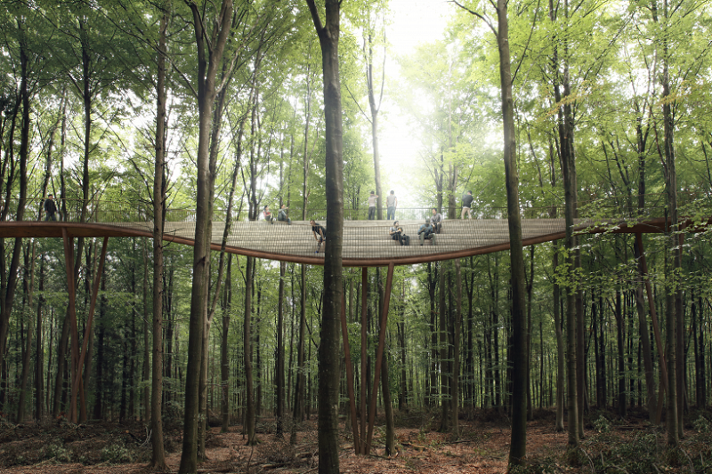 CampAdventure_TheTreetopExperience_03_c_EFFEKT-818x545